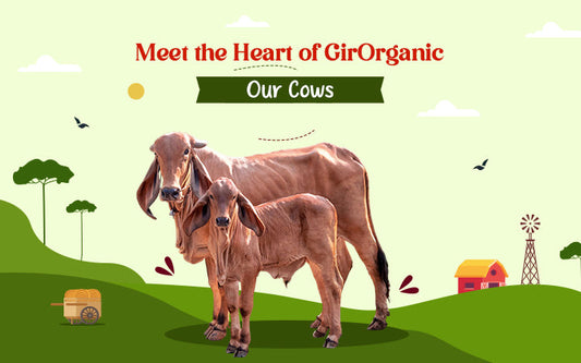 Protein Done Right with GirOrganic