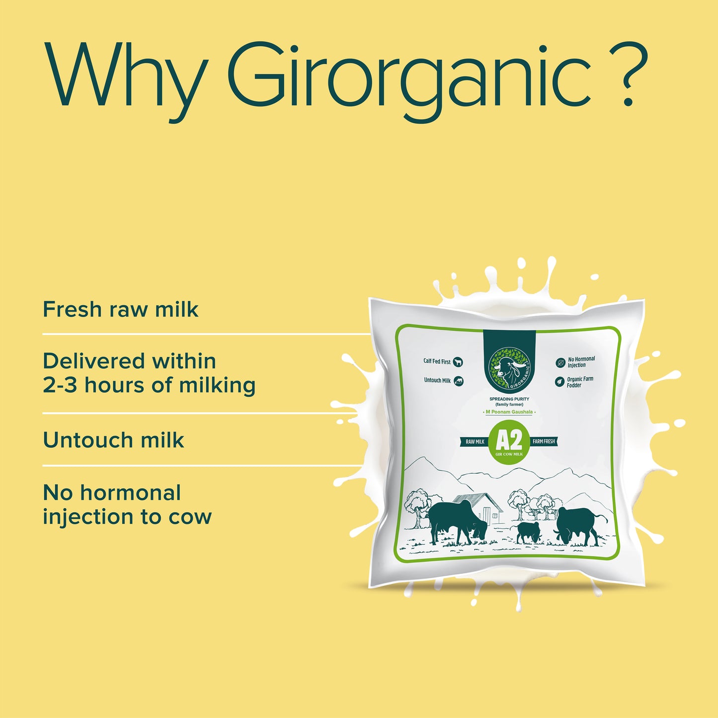 A2 Gir Cow Milk - 1 Litre/day