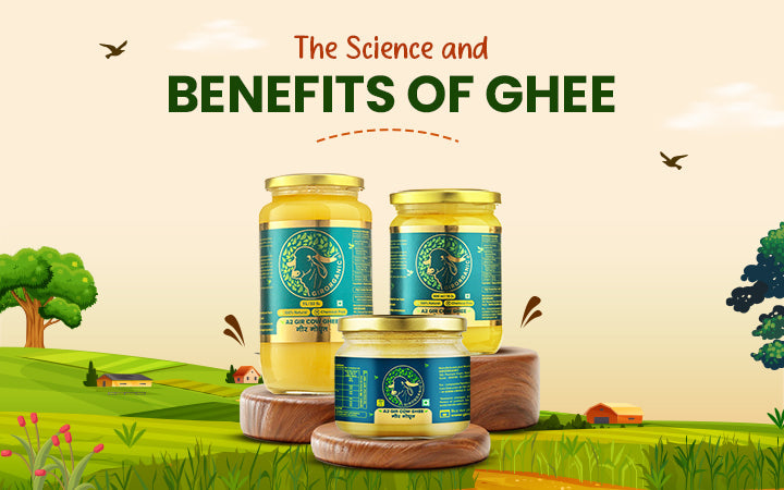 The Science and Benefits of Ghee