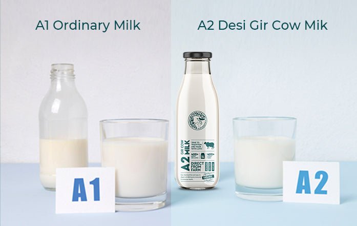Difference between A1 & A2 Milk - GIRORGANIC