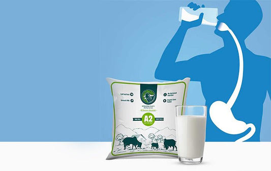 Why is A2 Milk Easy to Digest? - GIRORGANIC