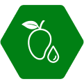 Feature Icon
